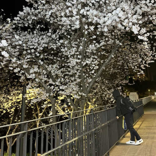 나이키 블레이저 로우 '77 빈티지 블랙 DA6364-101 photo review